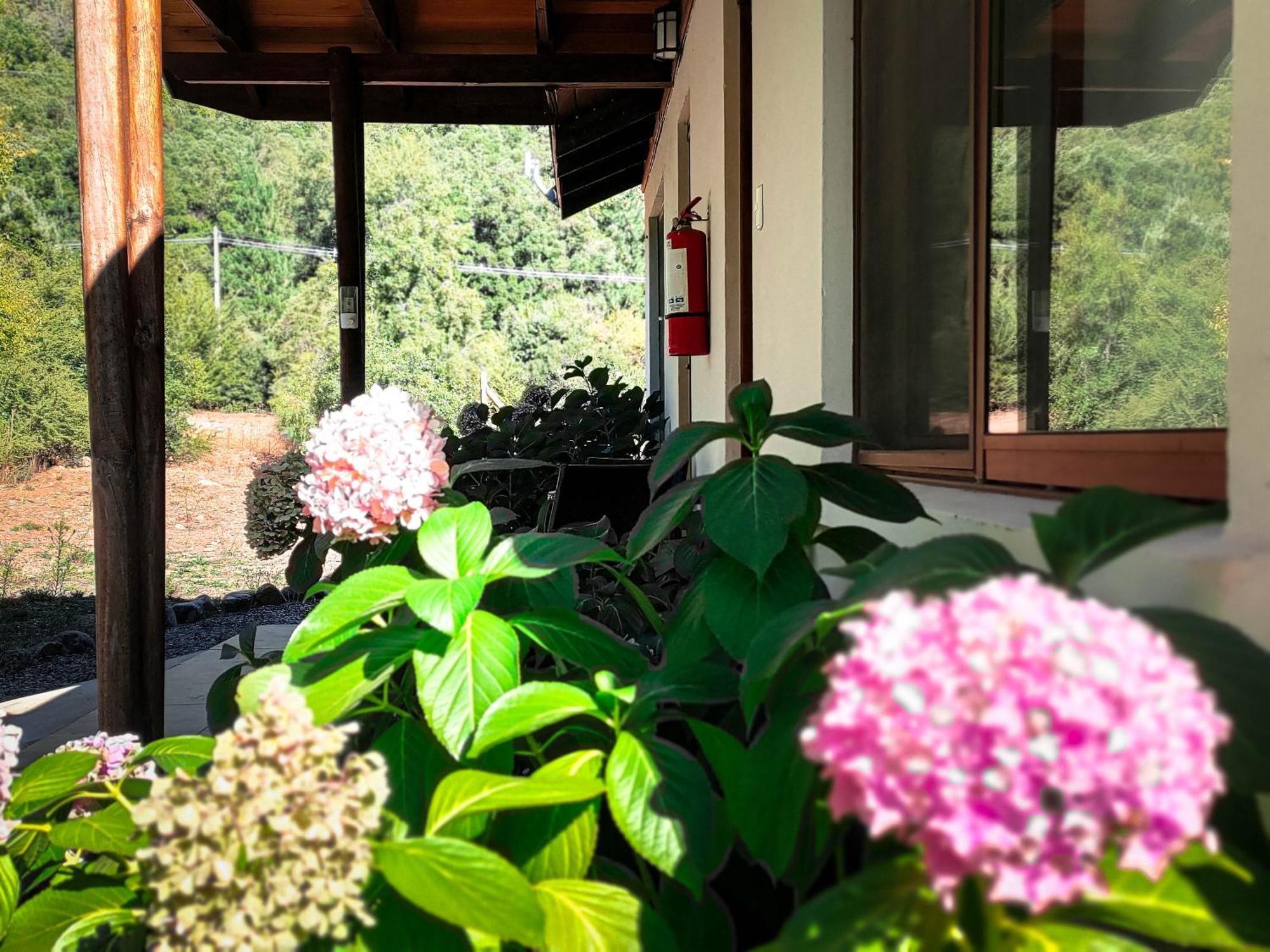 Tumunan Lodge El Llano Ngoại thất bức ảnh